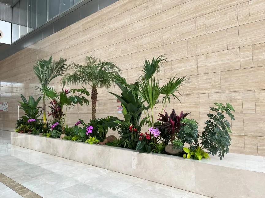 奉化植物租摆价格实惠